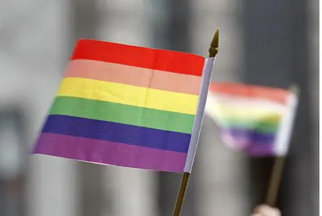 gay flag vs anti gay flag